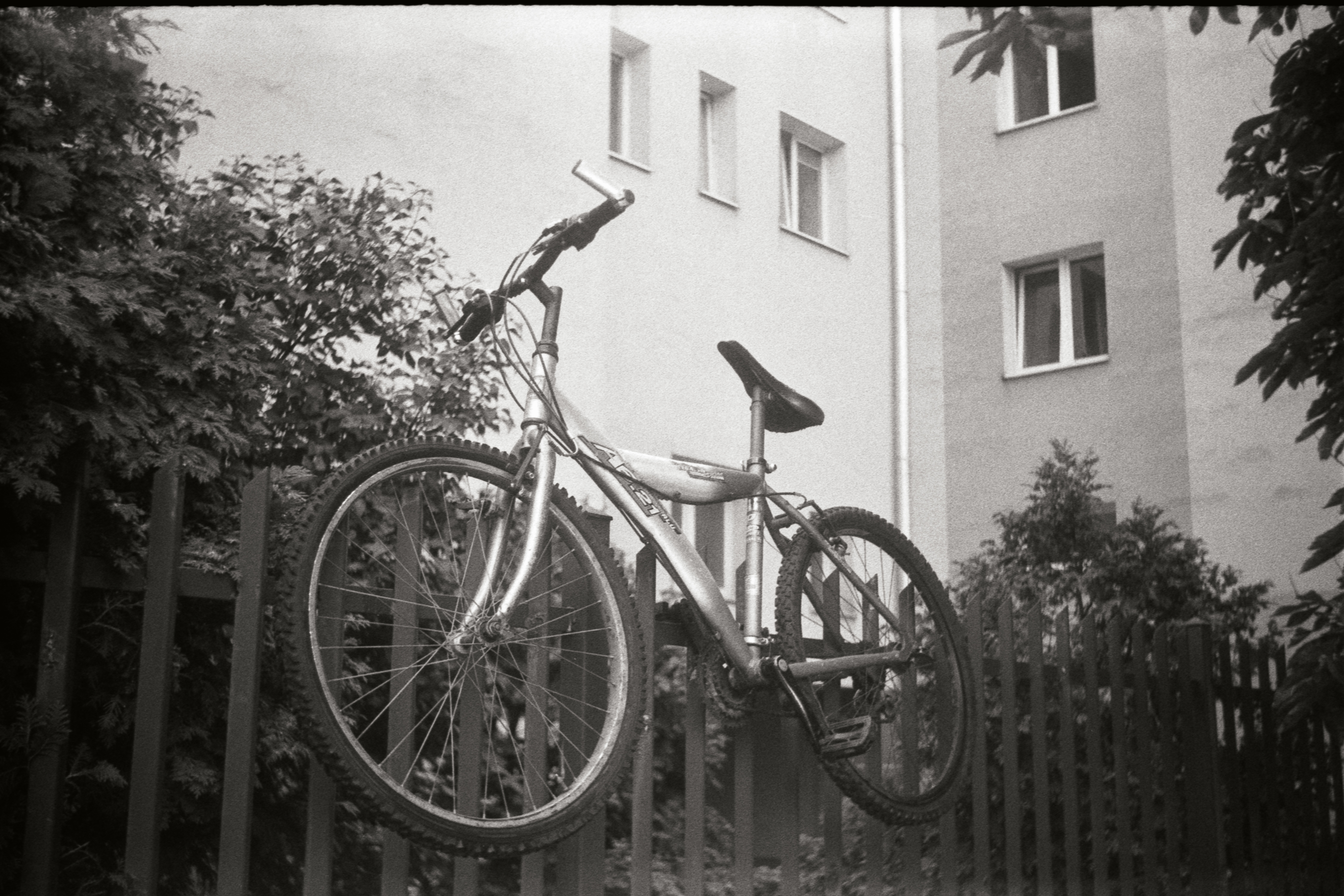 A bike impaled on a fence, against a backdrop of apartment buildings and a tree, shot on black and white film